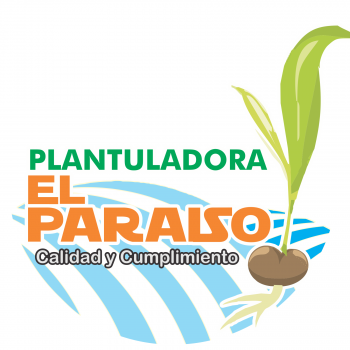 Plantuladora El Paraíso